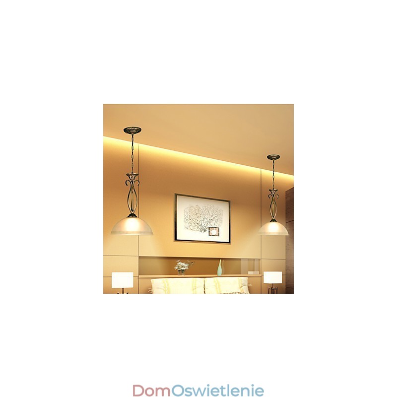 Lampa stołowa Northern Rural to współczesne i oszczędne pomysły. Pojedyncza głowica lampy wiszącej ze szkła