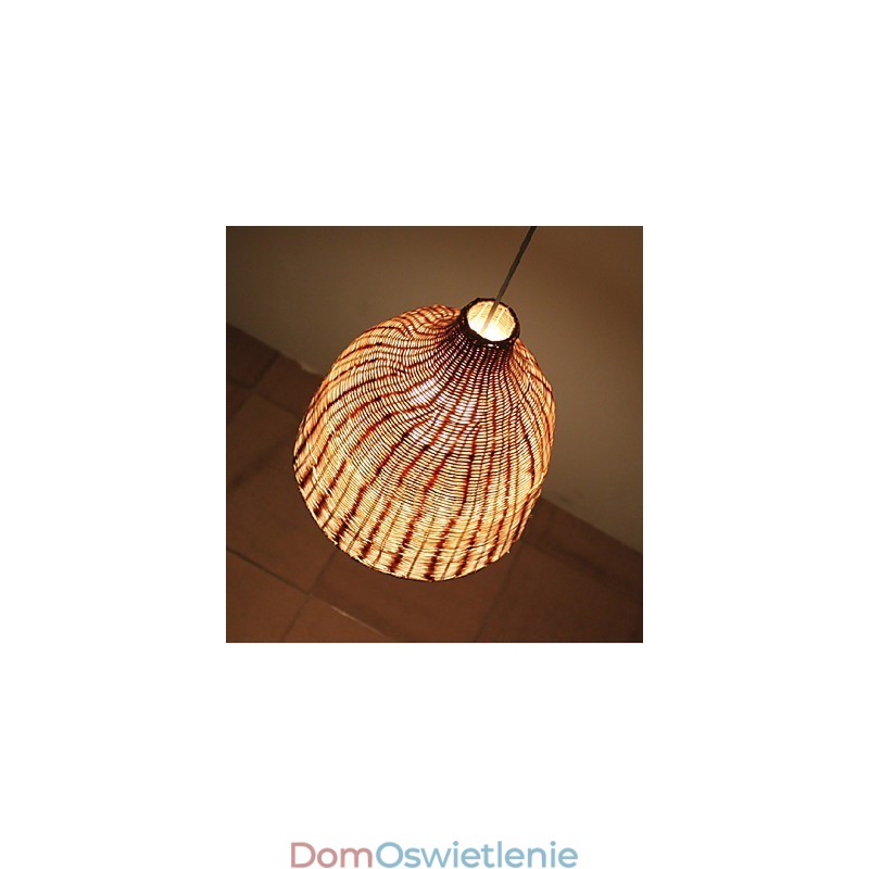Styl wiejski Cany Art Kreatywne ręcznie robione przez Cane tworzy lampę Droplight