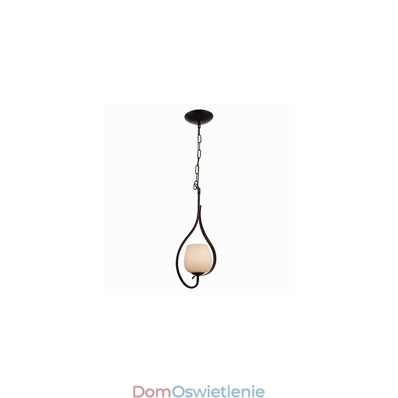 Żelazna lampa wisząca z kloszem szklanym Klasyczna lampa oświetleniowa 1 głowica