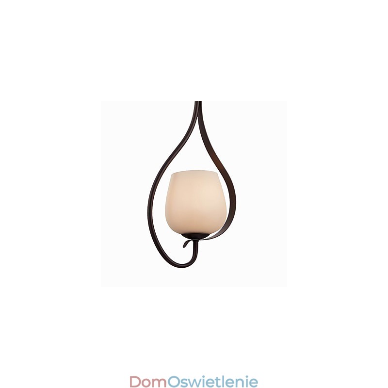 Żelazna lampa wisząca z kloszem szklanym Klasyczna lampa oświetleniowa 1 głowica