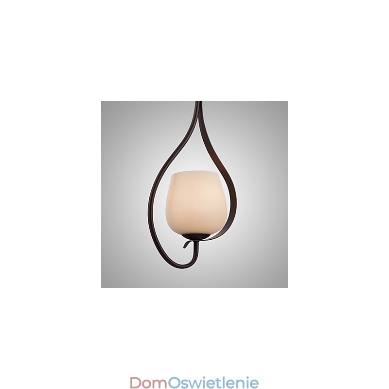 Żelazna lampa wisząca z kloszem szklanym Klasyczna lampa oświetleniowa 1 głowica