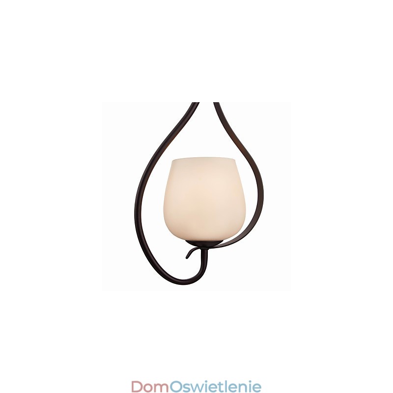 Żelazna lampa wisząca z kloszem szklanym Klasyczna lampa oświetleniowa 1 głowica
