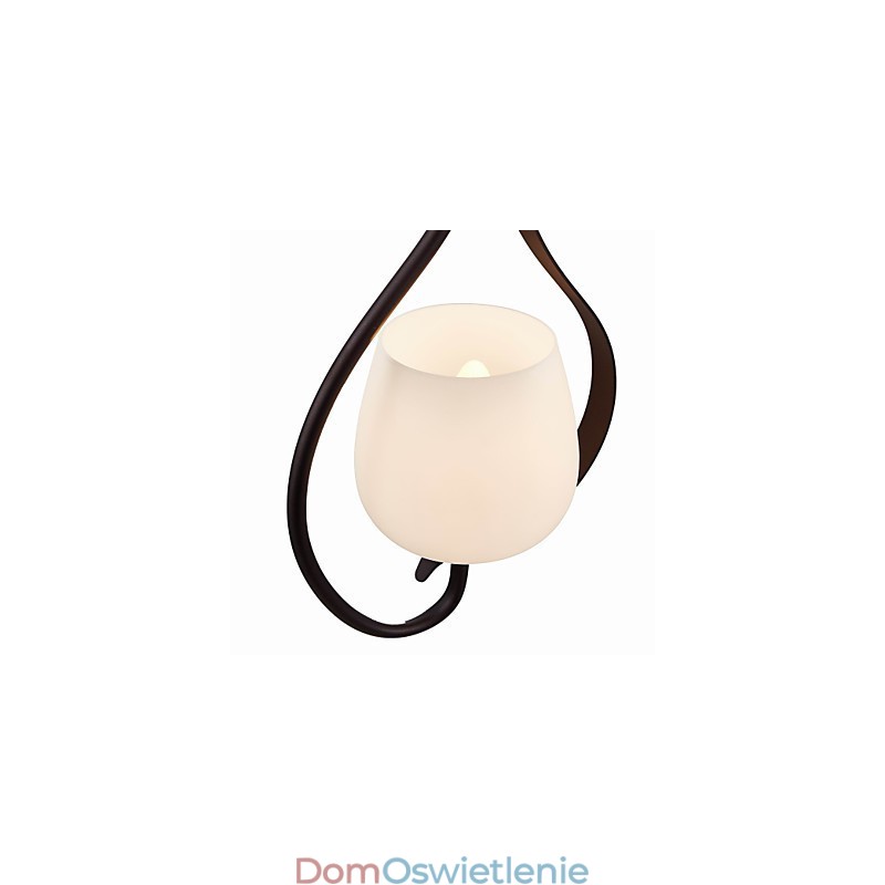 Żelazna lampa wisząca z kloszem szklanym Klasyczna lampa oświetleniowa 1 głowica