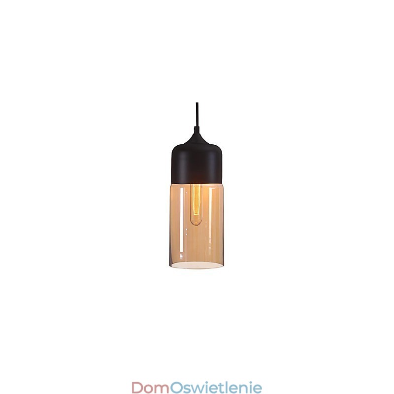 WestMenLights Elegancki klosz do butelki DIY Lampa sufitowa Szklana lampa wisząca Oświetlenie Edison Bulb Home