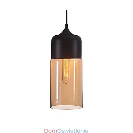 WestMenLights Elegancki klosz do butelki DIY Lampa sufitowa Szklana lampa wisząca Oświetlenie Edison Bulb Home WestMenLights Elegancki klosz do butelki DIY Lampa sufitowa Szklana lampa wisząca Oświetlenie Edison Bulb Home