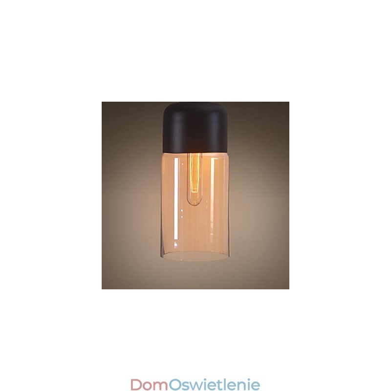 WestMenLights Elegancki klosz do butelki DIY Lampa sufitowa Szklana lampa wisząca Oświetlenie Edison Bulb Home