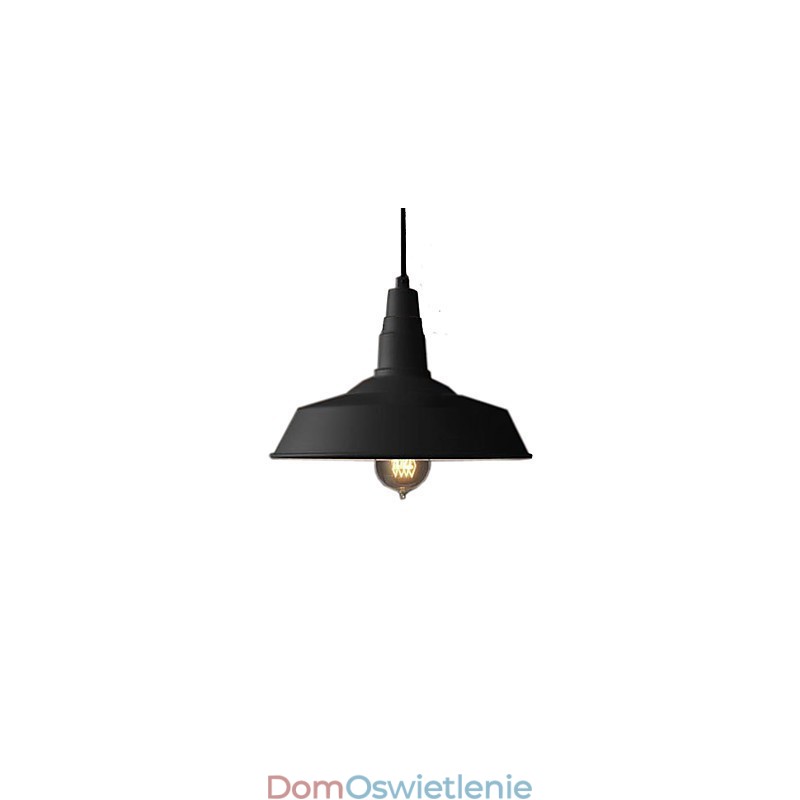 Vintage Malowanie Metalowa Lampa Wisząca