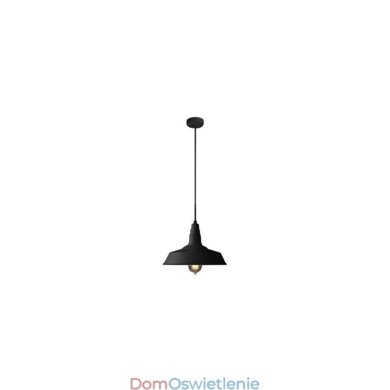 Vintage Malowanie Metalowa Lampa Wisząca