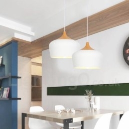 Nowoczesna współczesna lampa wisząca 1 światło