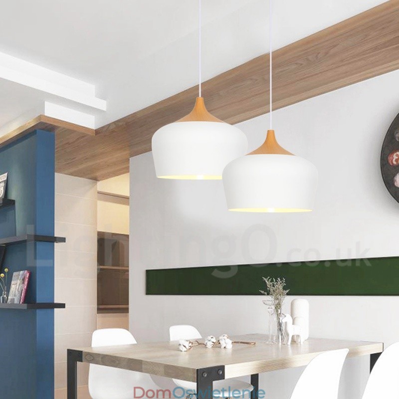 Nowoczesna współczesna lampa wisząca 1 światło