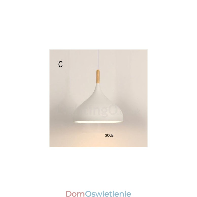 Nowoczesna współczesna lampa wisząca 1 światło