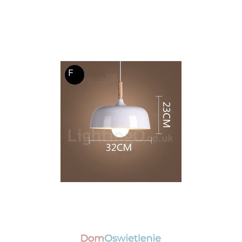 Nowoczesna współczesna lampa wisząca 1 światło