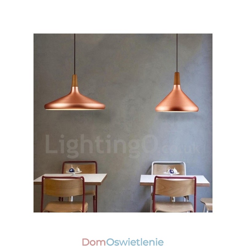 Nowoczesna współczesna metalowa lampa wisząca z 1 światłem