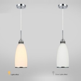 1 Światło Nowoczesna Współczesna Zintegrowana Metalowa Lampa Wisząca