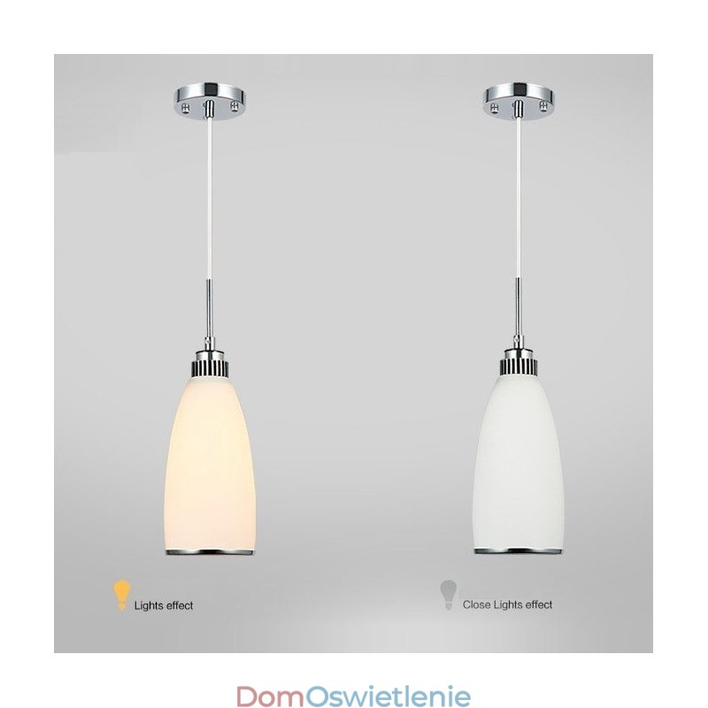 1 Światło Nowoczesna Współczesna Zintegrowana Metalowa Lampa Wisząca