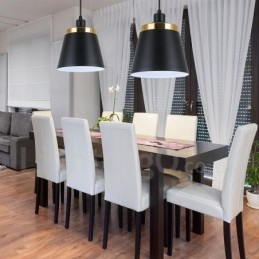 1 Światło Nowoczesna Współczesna Lampa Wisząca Sufitowa