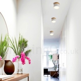 Drewniana nowoczesna lampa sufitowa Mini z kloszem akrylowym Specjalnie zaprojektowana, może być również używana jako lampa ścienna