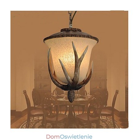 Pojedyncza głowica żyrandola lampa wisząca Pojedyncza głowica żyrandola lampa wisząca