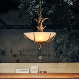 Jedno światło rustykalne artystyczne retro antyczne poroże lampa wisząca z kloszem szklanym