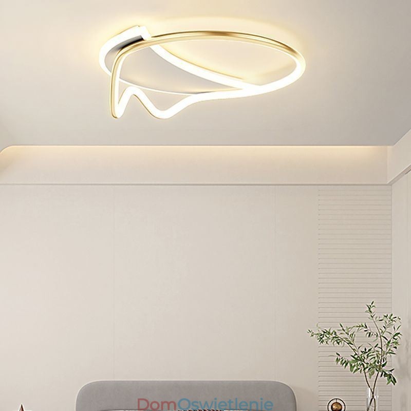 Nowoczesna lampa sufitowa, dekoracja domu, pierścień, lampa sufitowa