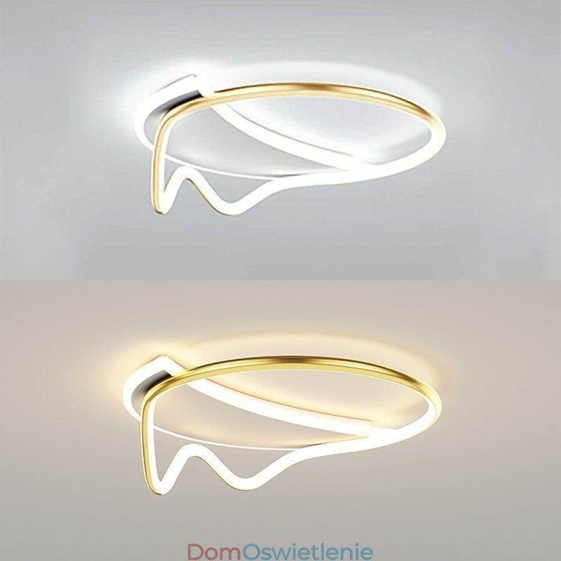 Nowoczesna lampa sufitowa, dekoracja domu, pierścień, lampa sufitowa