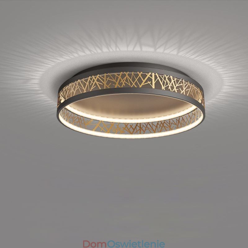 Lampa sufitowa Bird Nest okrągła lampa nowoczesne oprawy