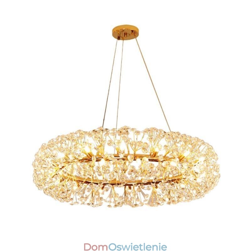 Wisząca lampa Nowoczesna minimalistyczna kuta żelazo okrągła lampa sufitowa w kształcie kwiatu słońca