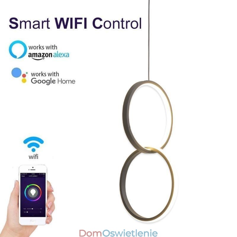 Minimalistyczna lampa wisząca Double Ring