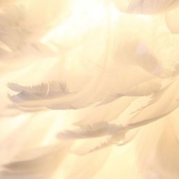Ładna dekoracyjna lampa wisząca w kształcie piór