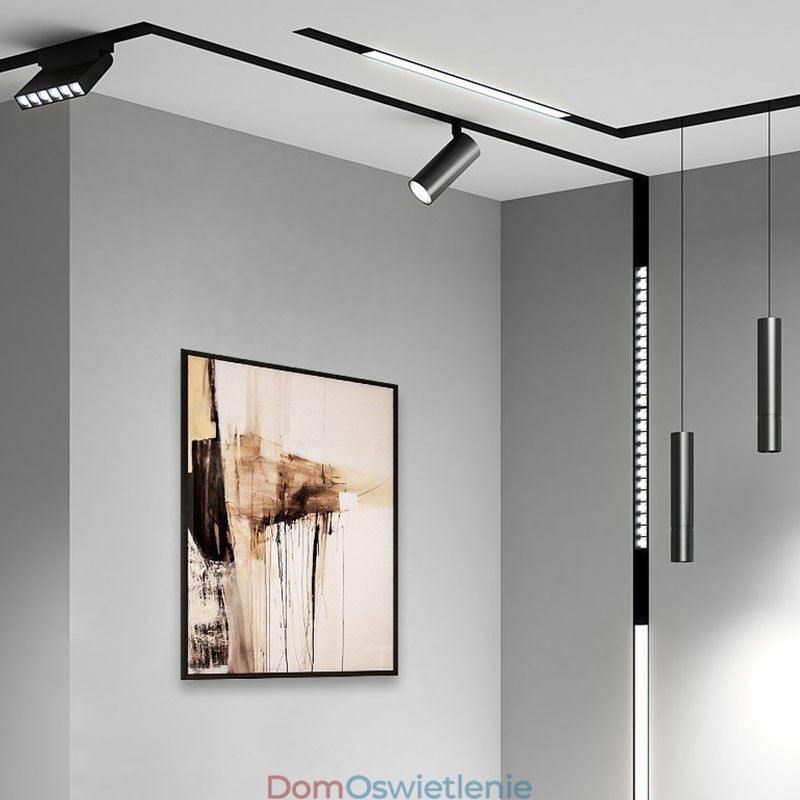 Wisząca lampa wisząca magnetyczna wpuszczana lampa wisząca reflektor 36V