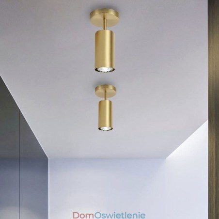Nordic Brass Flush Mount Lampa sufitowa Nordic Brass Flush Mount Lampa sufitowa