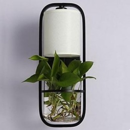 Nowoczesna żelazna kreatywna szklana lampa ścienna do roślin doniczkowych
