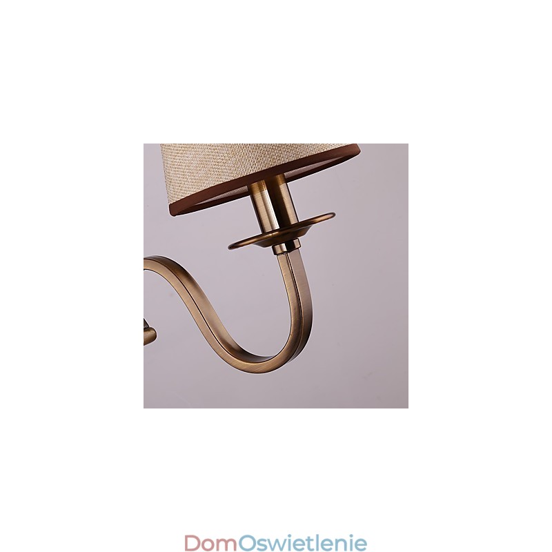 Tradycyjna klasyczna galwanizowana cecha do ochrony oczu Kinkiety ścienne Downlight Kinkiet