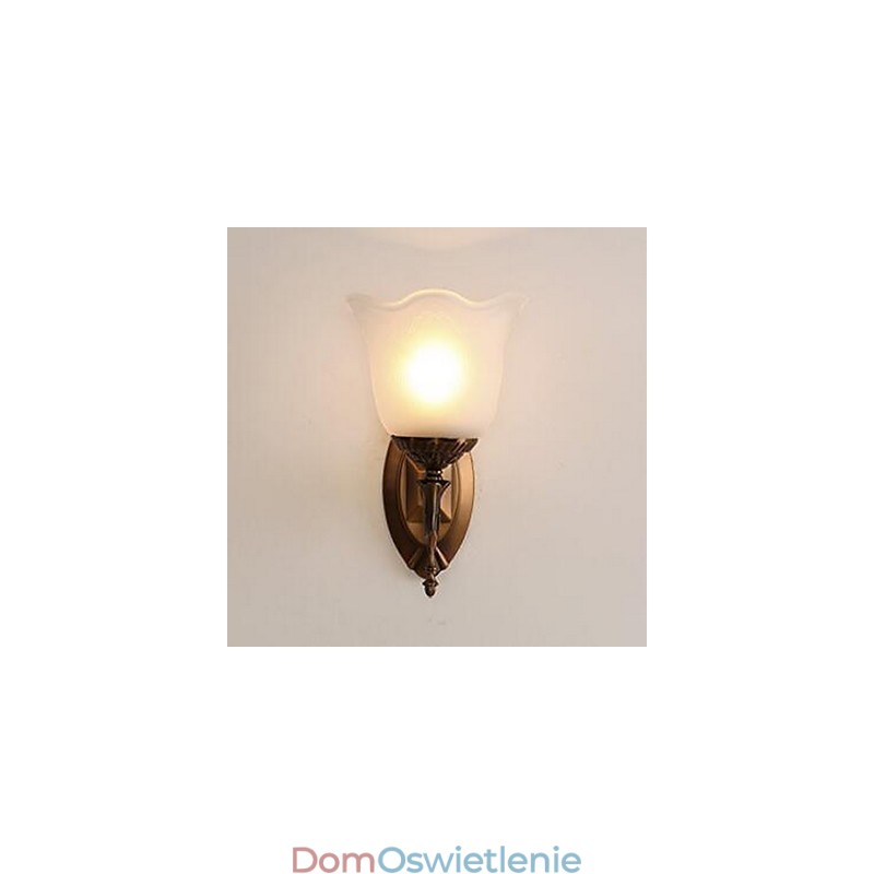 Nowoczesne Współczesne Inne Cecha Kinkiety ścienne z oświetleniem od góry Kinkiety ścienne