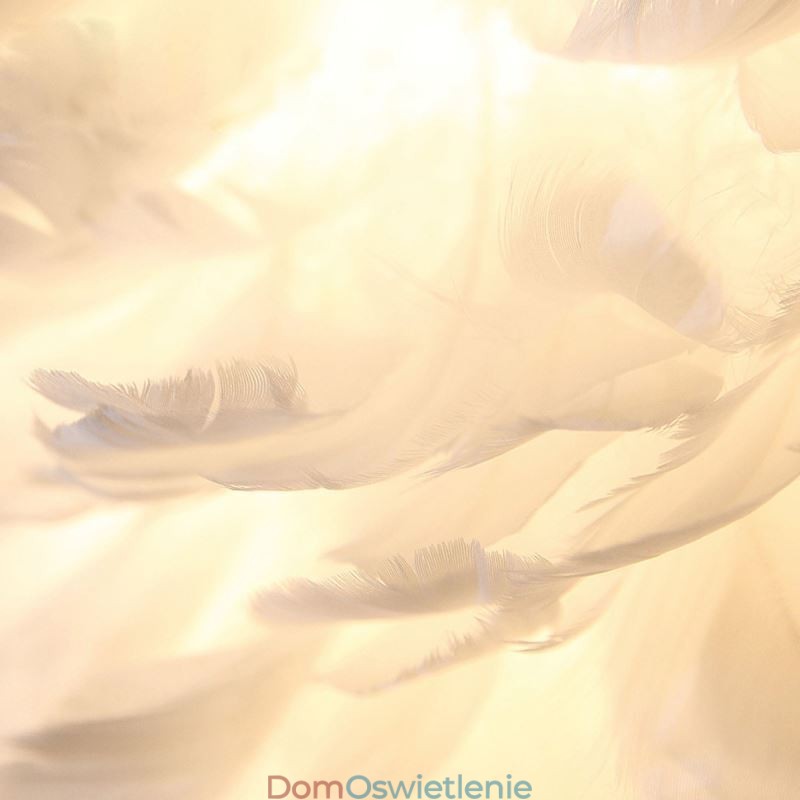 Kreatywna lampa ścienna z piórami dekoracyjna lampa kinkietowa