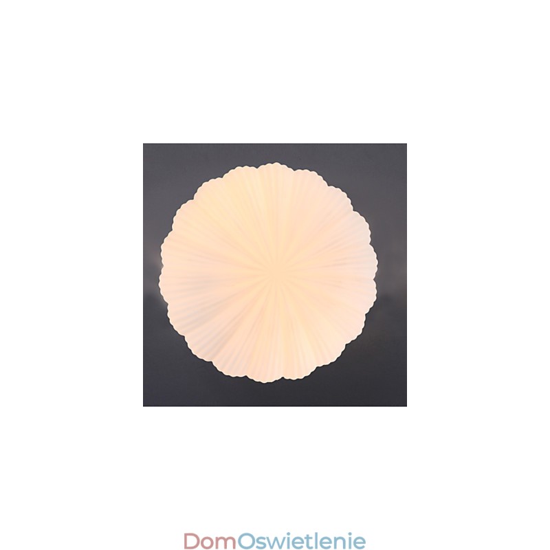 Szklane muszle Nordic Creative pochłaniające światło kopuły