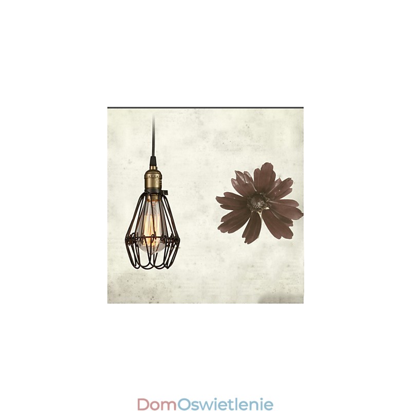 Lampy wiszące w stylu vintage, amerykańskim, rustykalnym, przywracające dawne sposoby, kute żelazo, mała lampa wisząca