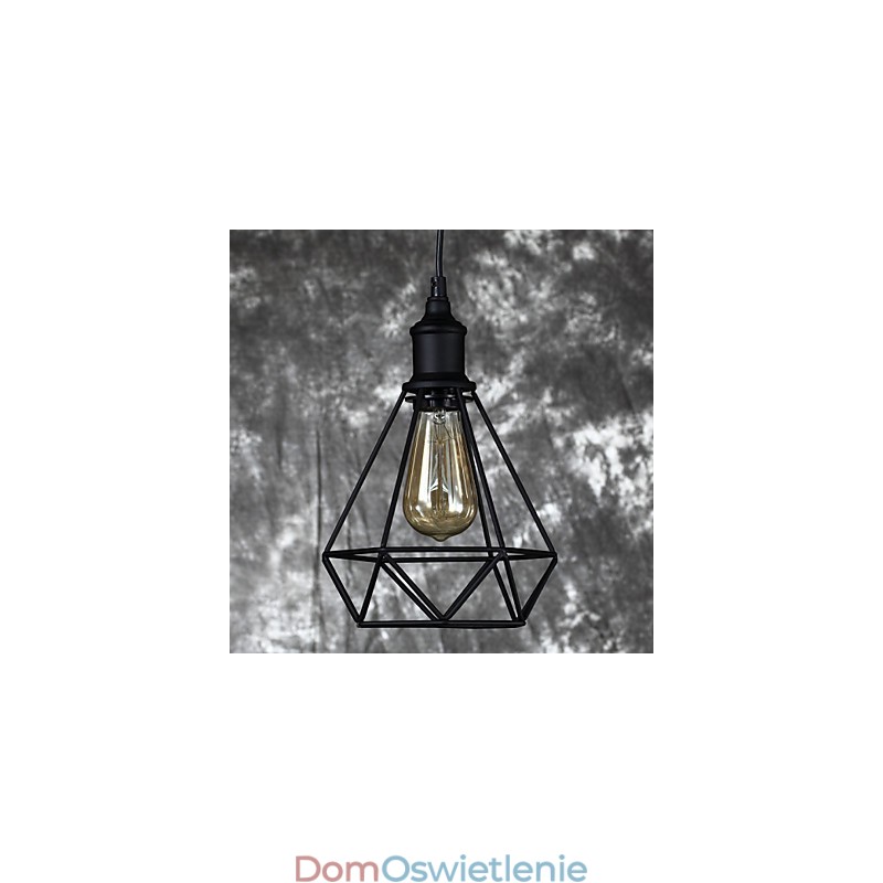 Amerykańska mała stalowa klatka dla ptaków wisząca Vintage Retro DIY Drop Light Industrial Light Fixture do dekoracji domu
