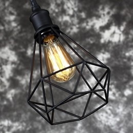 Amerykańska mała stalowa klatka dla ptaków wisząca Vintage Retro DIY Drop Light Industrial Light Fixture do dekoracji domu