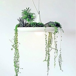 Nowoczesna Współczesna Inne Metalowa Lampa Wisząca