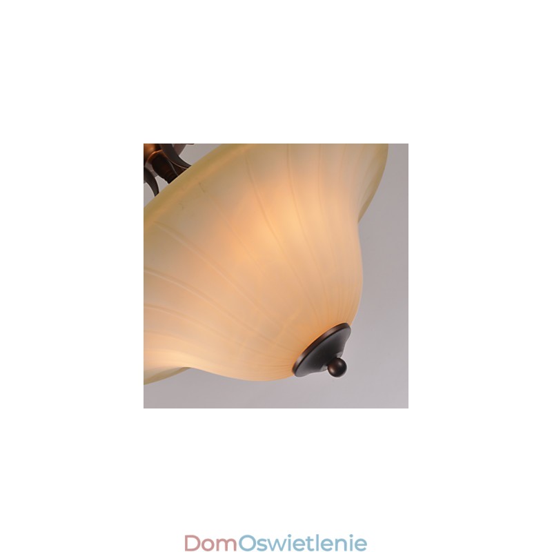 5 Vintage Mini Styl Malowanie Metalowe Lampy Wiszące