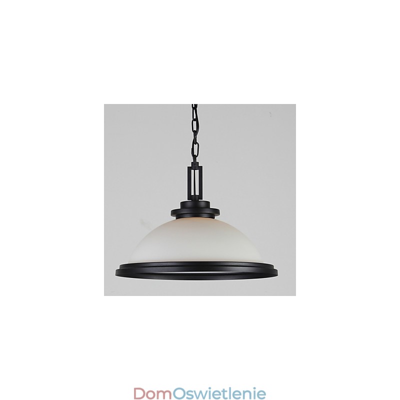 Lampy wiszące Rustykalny domek Metal Malowanie Czarny