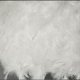 Gorąco sprzedający się żyrandol Dia Fashion Feather Modern Light