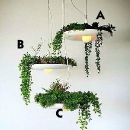 Aluminiowe Droplight Nordic Creative Contracted Sky Garden Lampy i Latarnie Światło Bez Gleby Roślina