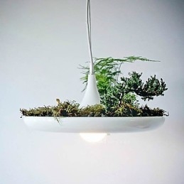 Aluminiowe Droplight Nordic Creative Contracted Sky Garden Lampy i Latarnie Światło Bez Gleby Roślina
