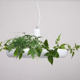Aluminiowe Droplight Nordic Creative Contracted Sky Garden Lampy i Latarnie Światło Bez Gleby Roślina