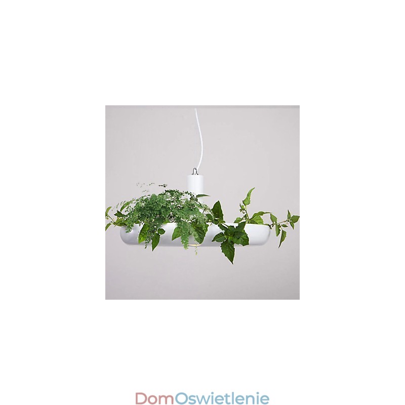 Aluminiowe Droplight Nordic Creative Contracted Sky Garden Lampy i Latarnie Światło Bez Gleby Roślina