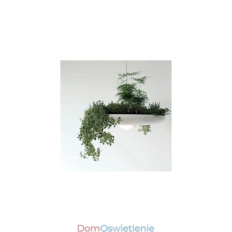 Aluminiowe Droplight Nordic Creative Contracted Sky Garden Lampy i Latarnie Światło Bez Gleby Roślina