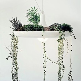 Aluminiowe Droplight Nordic Creative Contracted Sky Garden Lampy i Latarnie Światło Bez Gleby Roślina