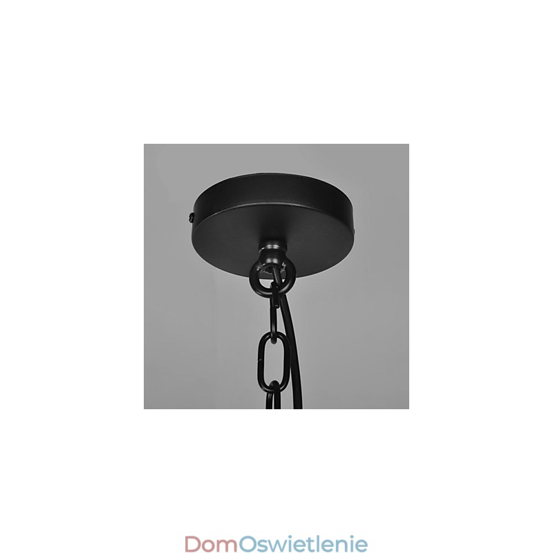 Vintage Country Painting Metalowa lampa wisząca garaż